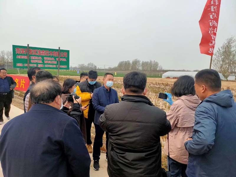 市牡丹產(chǎn)業(yè)中心、市宣傳部的領(lǐng)導(dǎo)及各大媒體來公司基地考察指導(dǎo)工作