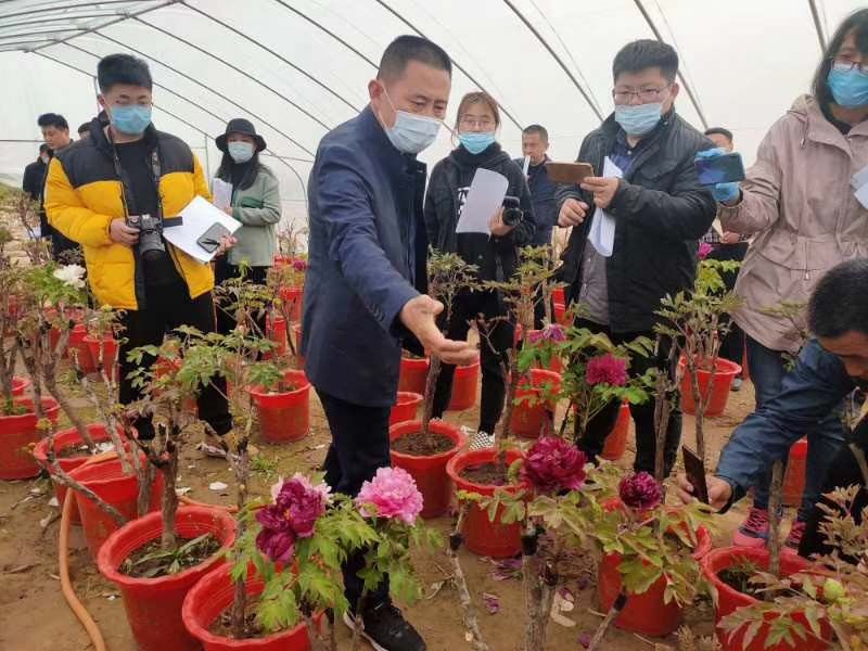 市牡丹產(chǎn)業(yè)中心、市宣傳部的領(lǐng)導(dǎo)及各大媒體來公司基地考察指導(dǎo)工作