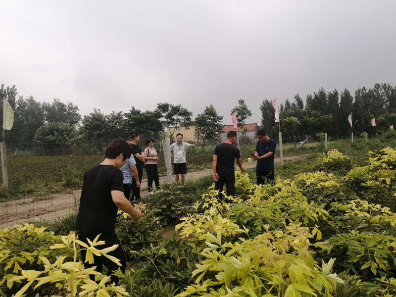 20200819成仿云帶領研究院一行調(diào)研