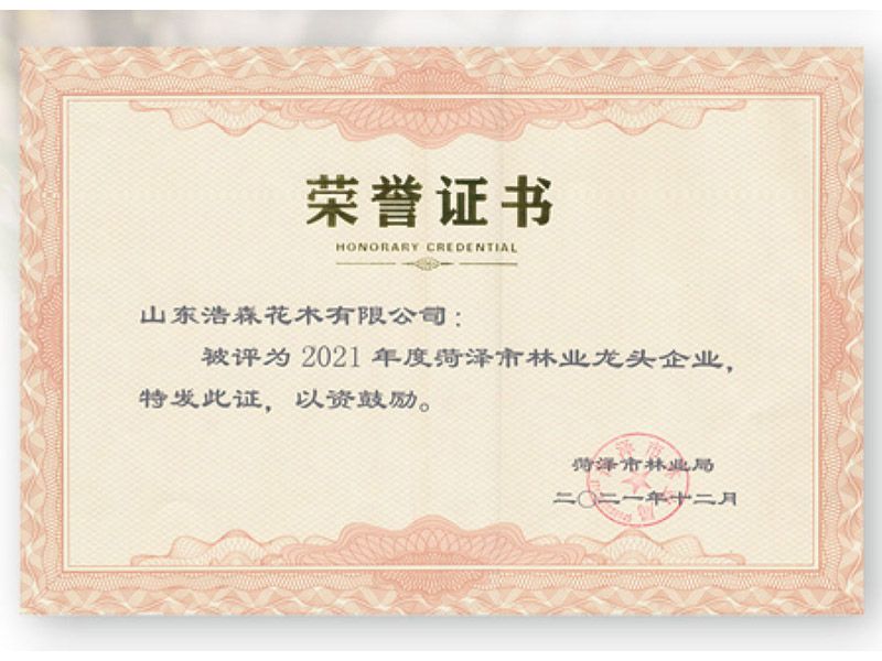 菏澤市林業(yè)龍 頭企業(yè)