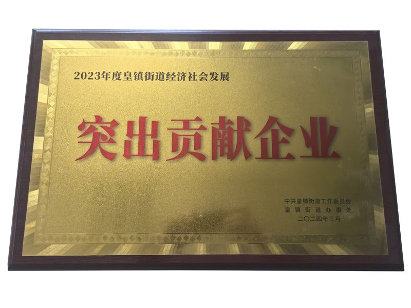 突出貢獻(xiàn)企業(yè)